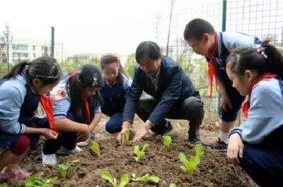 湖北省中小学劳动教育课每周不少于1课时，完成情况将作为升学参考依据