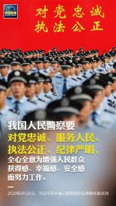 对这支国家重要的治安行政和刑事司法力量，习近平有哪些要求？