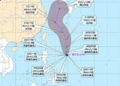 今年第9号台风“美莎克”生成 预计最强可达强台风级