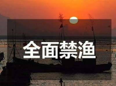 长江重点水域十年禁捕，怎么禁？如何管？