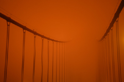 山火遮天蔽日，美国加州正午“烧”成黄昏…… 