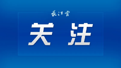 11月1日起，这项证明取消！
