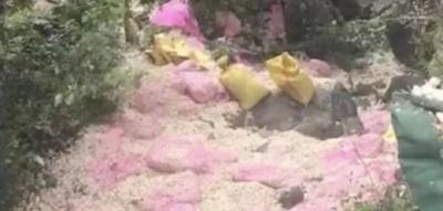 8死11伤！运蒜车侧翻，民众捡拾蒜瓣，另一辆货车驶来……