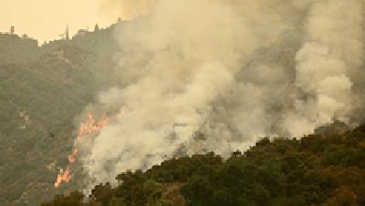 野火肆虐是因森林管理不善？特朗普飞抵加州后这么说