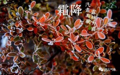 霜降节气到，湖北今起三天暖阳相伴！