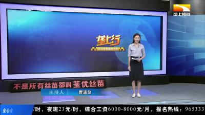 最美逆行者陈阿香：跨三省步行80公里归队战疫