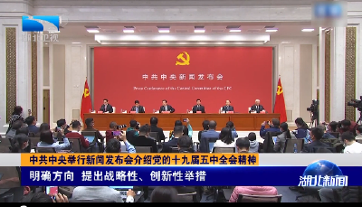 中共中央举行新闻发布会介绍党的十九届五中全会精神