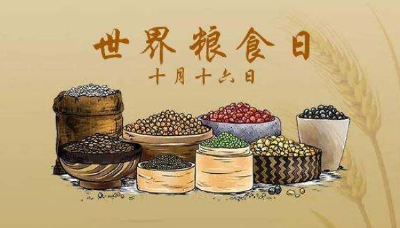 世界粮食日丨中国人吃饱吃好图鉴