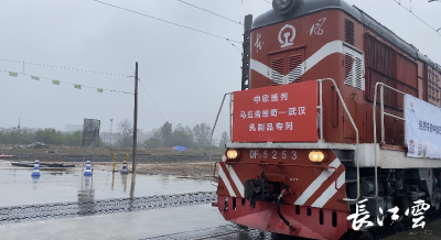 为“进博会”献礼 今天首列中欧班列（马拉舍维奇—武汉）乳制品进口专列抵汉