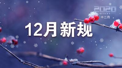 12月新规速览！落户、购房、出行、购物等统统有变化