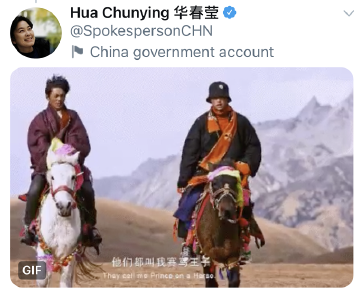 华春莹发推，为丁真点赞三连