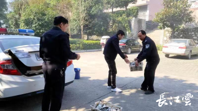 长江云——这些手段都属于非法捕捞行为 湖北通山警方严厉打击