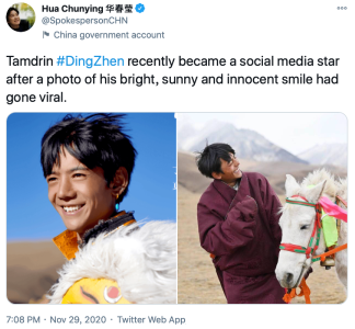 要火到国外？华春莹连发三推为丁真点赞！