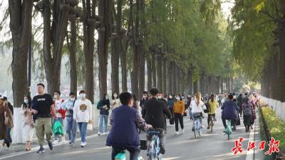 再创纪录！一天43.2万人畅游东湖