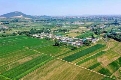 湖北省纪委通报4起党员干部涉农村乱占耕地建房典型案例