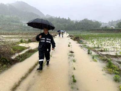 扶贫三年带领村民走上致富路，这次，他走进了国新办中外记者见面会