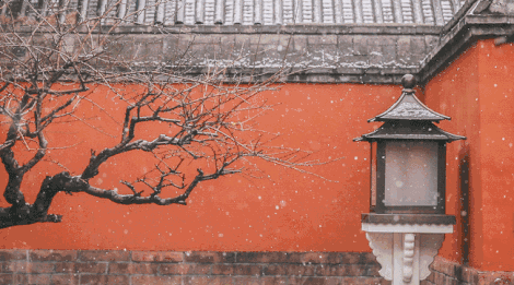 故宫迎2020初雪 网友直呼“美呆”！