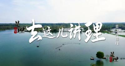 是这个理：去这儿讲理
