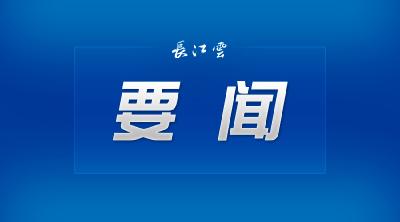 湖北省纪委通报4起党员干部涉农村乱占耕地建房典型案例