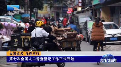 大国点名 没你不行 | 第七次全国人口普查登记工作正式开始