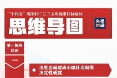 干货来了！一张思维导图，带你学习规划建议60条  