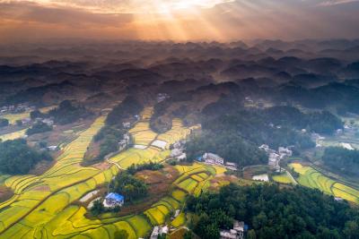 全国已有21个省区市的贫困县全部脱贫摘帽