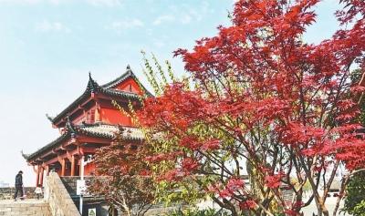 晴暖 “冬至”
