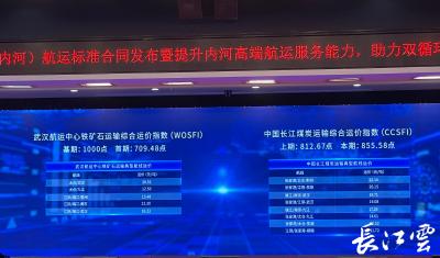 长江两项航运指数同时发布！高端航运服务在汉起“航”