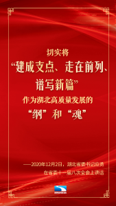 硬核金句！湖北怎么干？应勇这样说