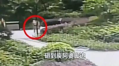 民法典施行后高空抛物首案宣判：判赔9万余元！
