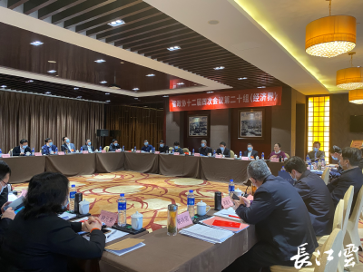 立足新阶段 稳中求进 委员代表讨论新阶段新发展方向