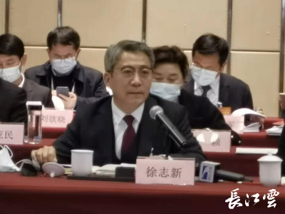 湖北省人大代表徐志新：慢发展到好发展 乡村振兴要做好顶层设计