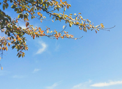湖北天气 | 最高温19℃！好天气持续到周五，接下来又有风雨雪来袭