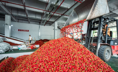 长江时评：中国GDP破百万亿是复兴底气的证明