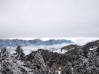 雪后神农架 景色分外美