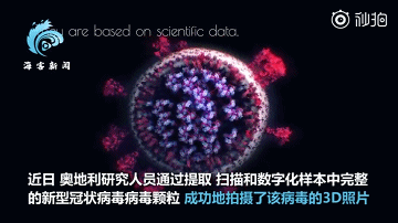 新冠病毒首个3D图像曝光：像一颗残败不堪的星球