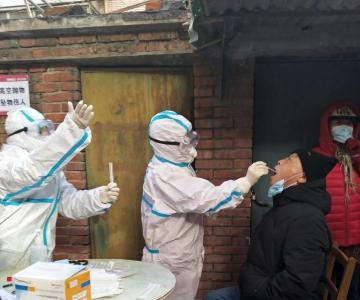 明确了！邢台传播病毒与欧洲输入病毒高度同源