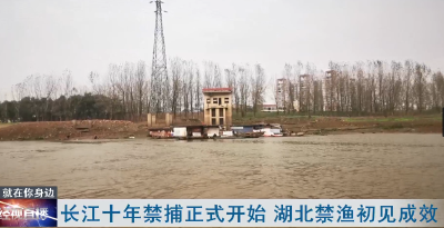 长江十年禁捕正式开始 湖北禁渔初见成效