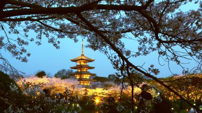 武汉景区单日游客量破20万 比2019年同期高两成