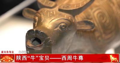 陕西“牛”宝贝——西周牛尊
