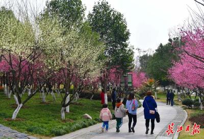 春节前半段最新天气预报来了！气温较常年同期偏高