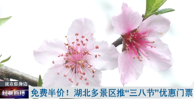 免费半价！湖北多景区推“三八节”优惠门票