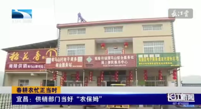 湖北《长江新闻》：夷陵区供销部门当好农保姆