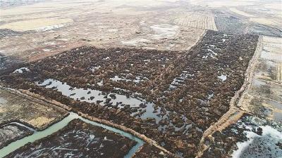 五常黑土被盗挖，耕地破坏是如何瞒天过海的