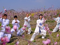 竹山300亩花桃花争艳