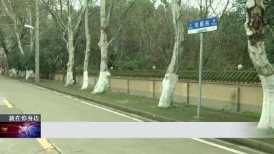 风景区内藏着“加油站”警方捣毁黑窝点