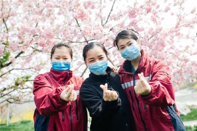 首次公开！去年此时，你未曾见过的“抗疫天使相约东湖樱花园”影像
