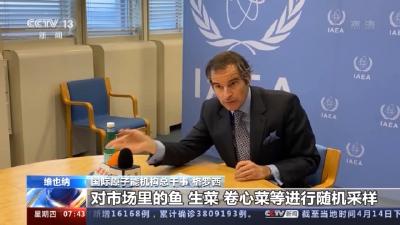 国际原子能机构总干事：将分阶段对日本排污入海进行评估