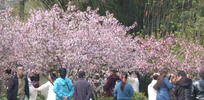 春季高发！这种体质的人出游要注意