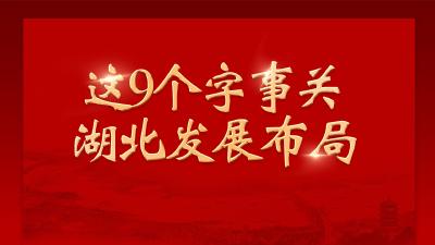 金句 | 这9个字事关湖北发展布局！